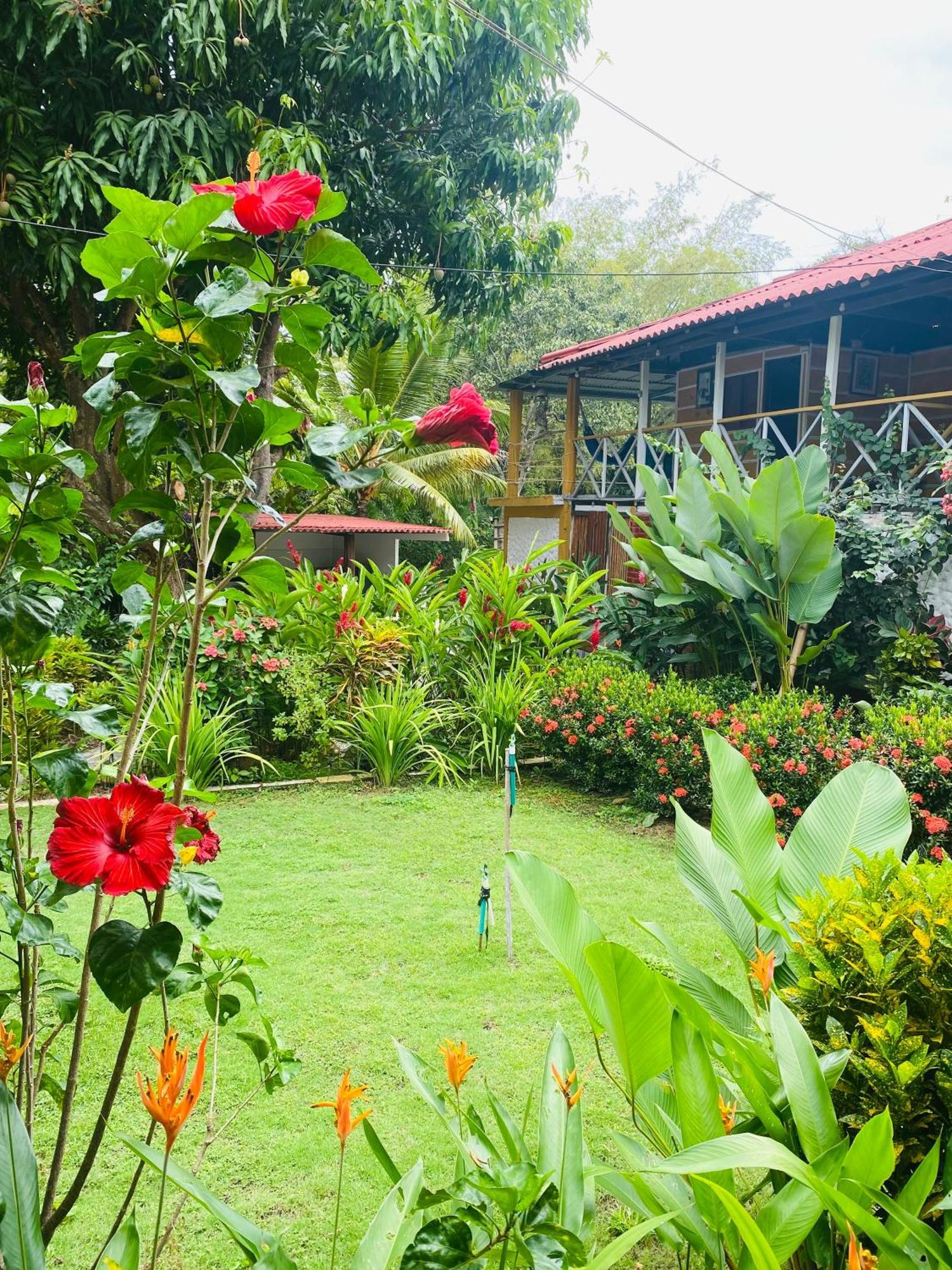 Wayanay Tayrona Eco Hostel 埃尔扎伊诺 外观 照片