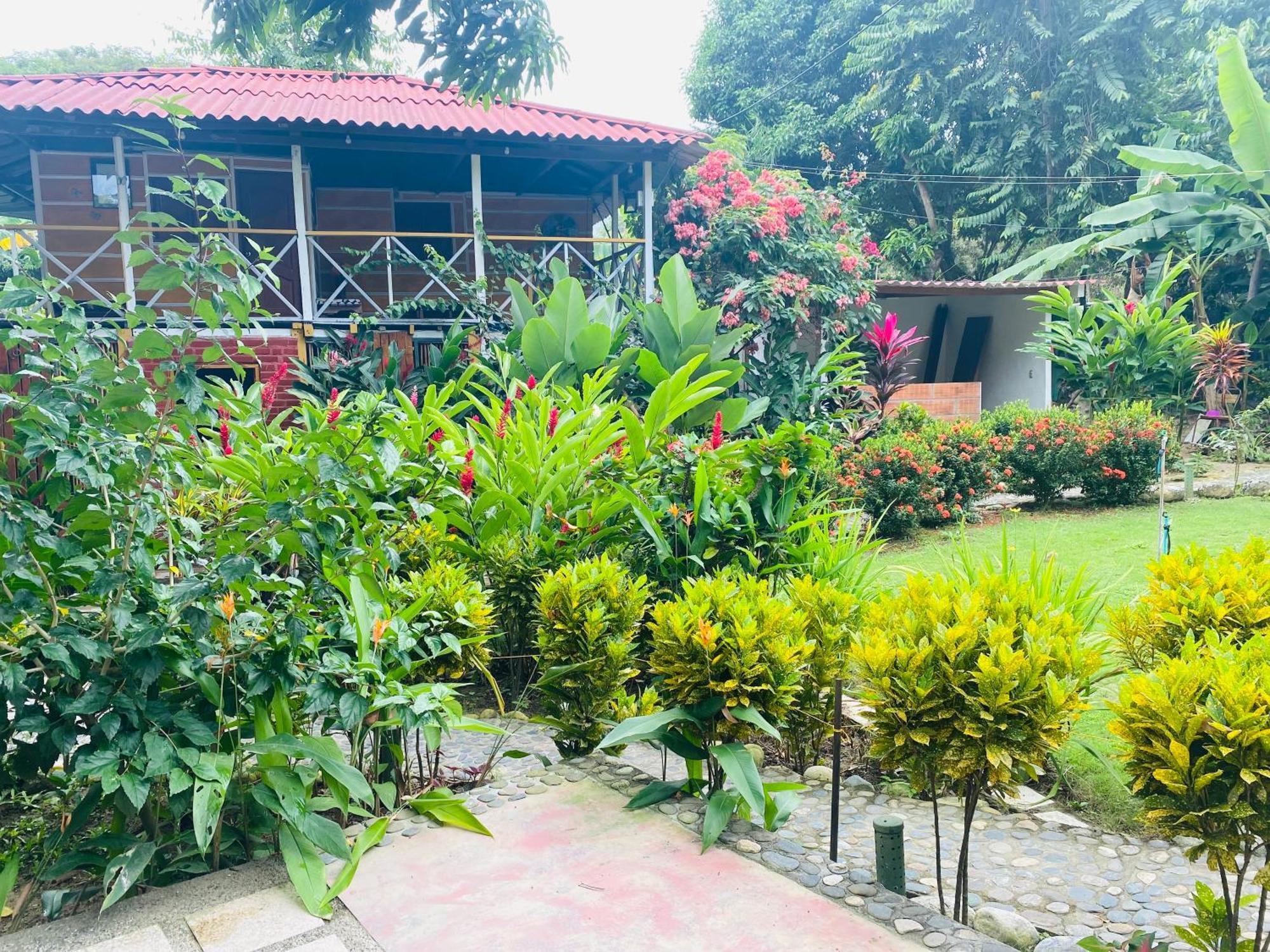 Wayanay Tayrona Eco Hostel 埃尔扎伊诺 外观 照片
