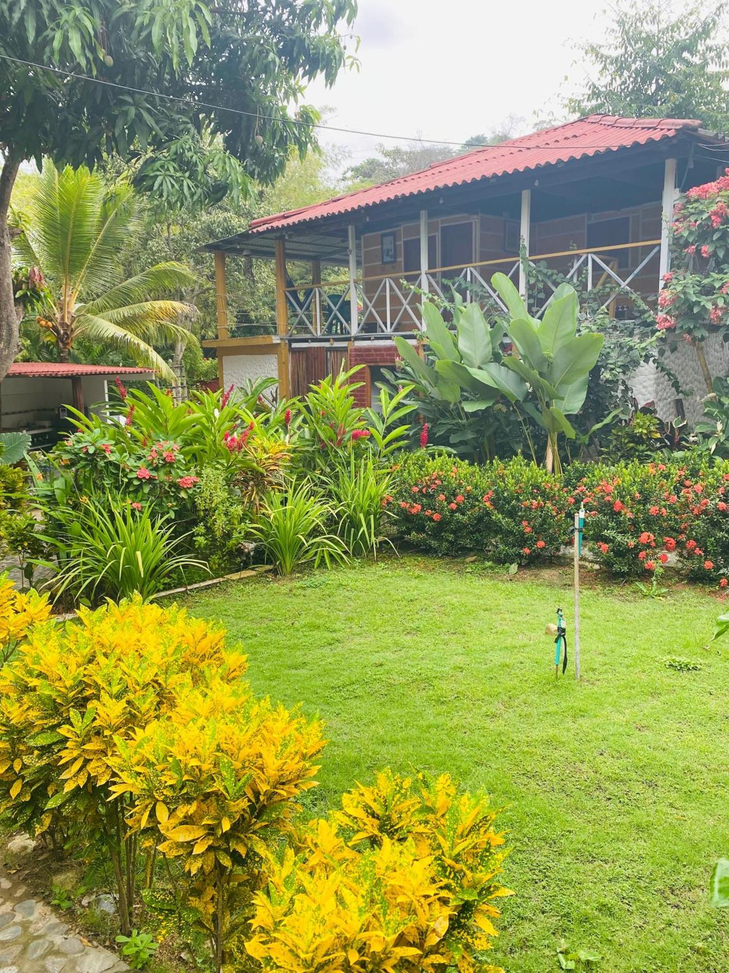 Wayanay Tayrona Eco Hostel 埃尔扎伊诺 外观 照片