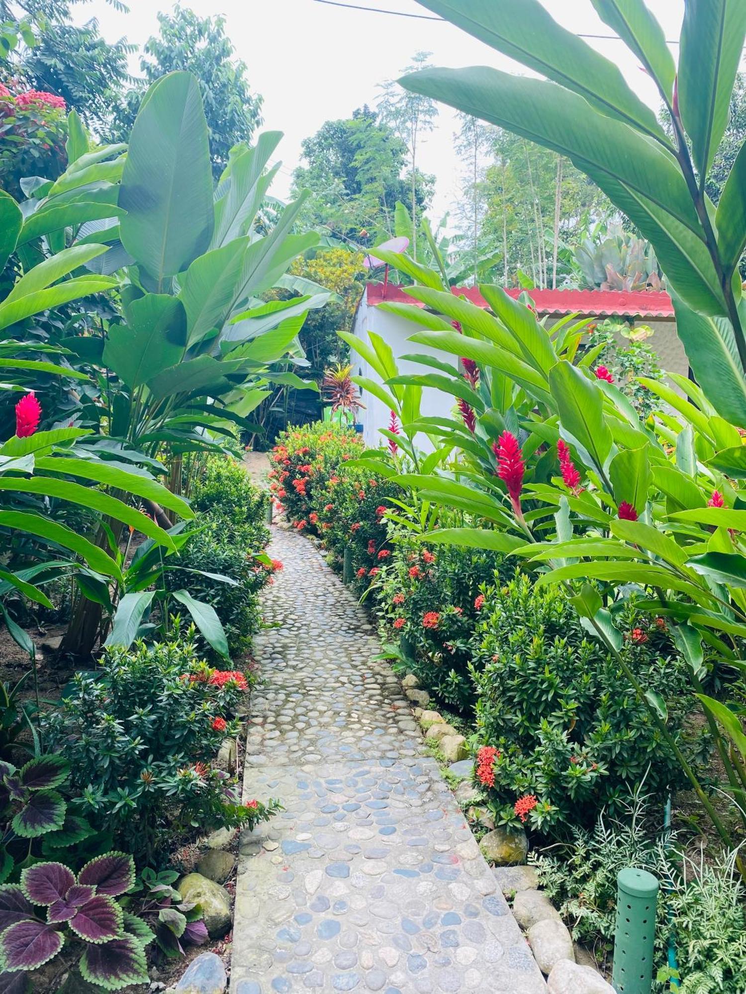 Wayanay Tayrona Eco Hostel 埃尔扎伊诺 外观 照片