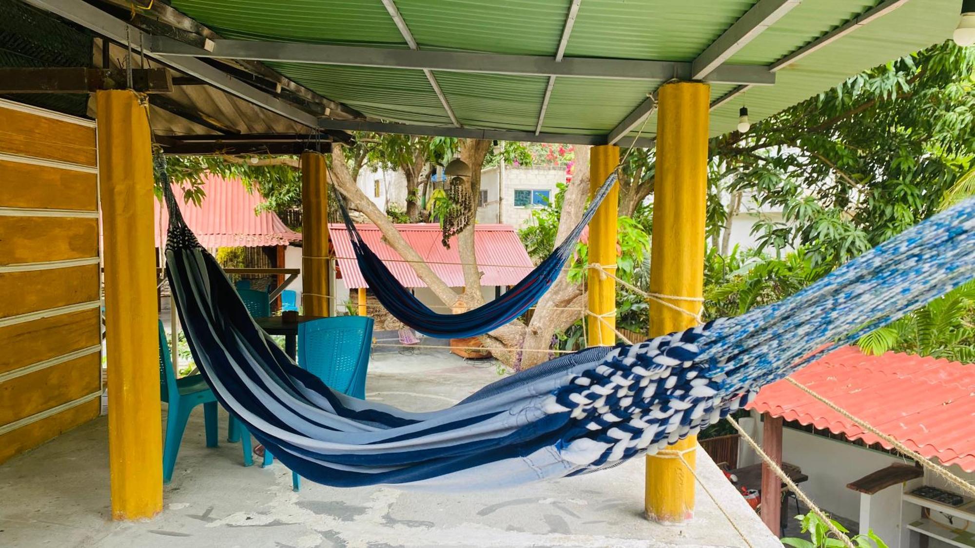 Wayanay Tayrona Eco Hostel 埃尔扎伊诺 外观 照片