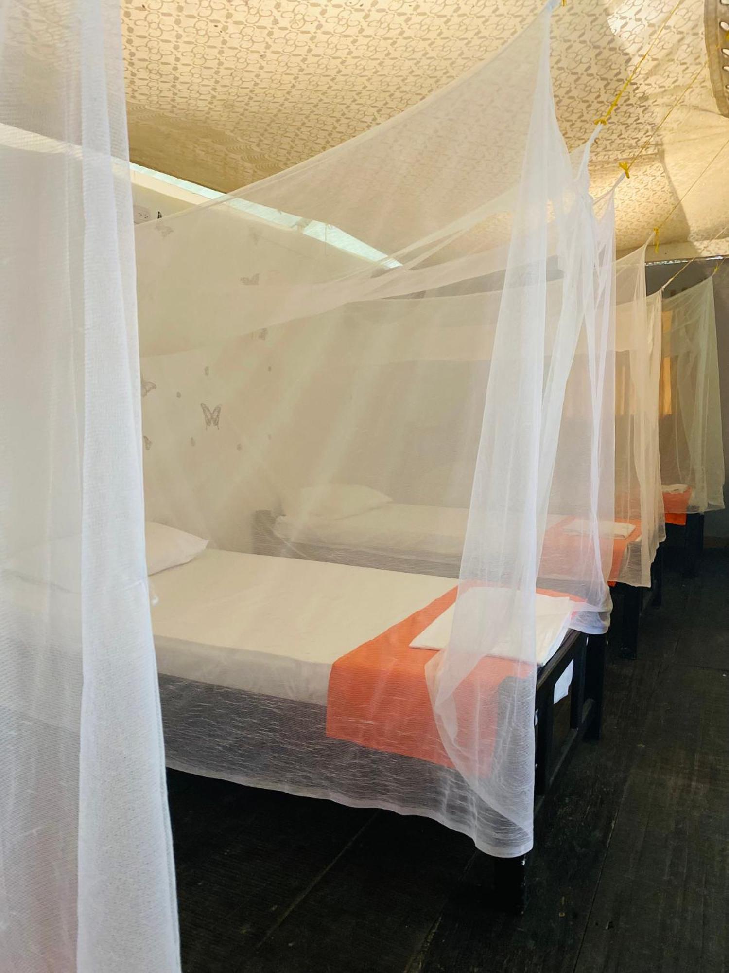 Wayanay Tayrona Eco Hostel 埃尔扎伊诺 外观 照片