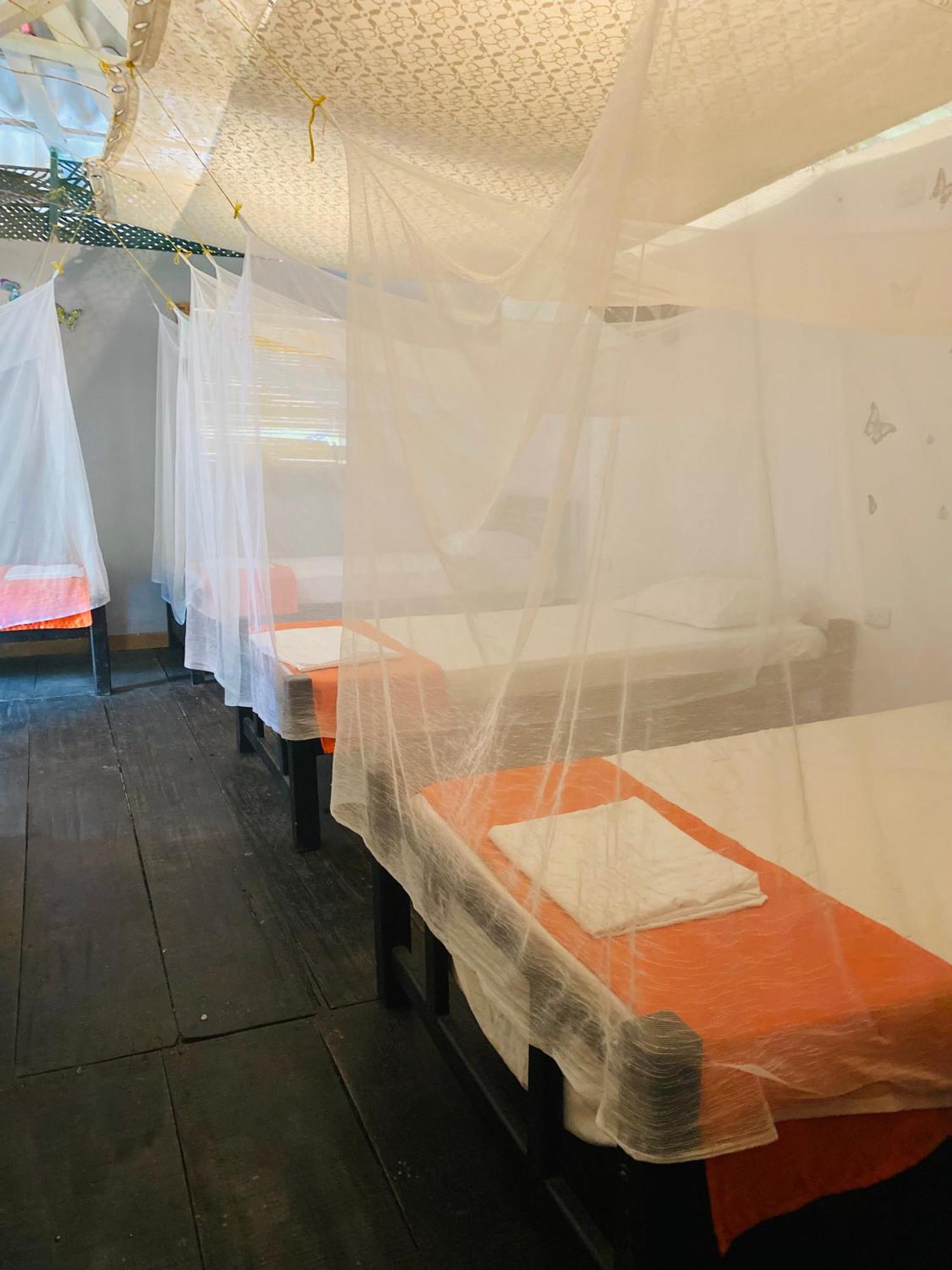Wayanay Tayrona Eco Hostel 埃尔扎伊诺 外观 照片